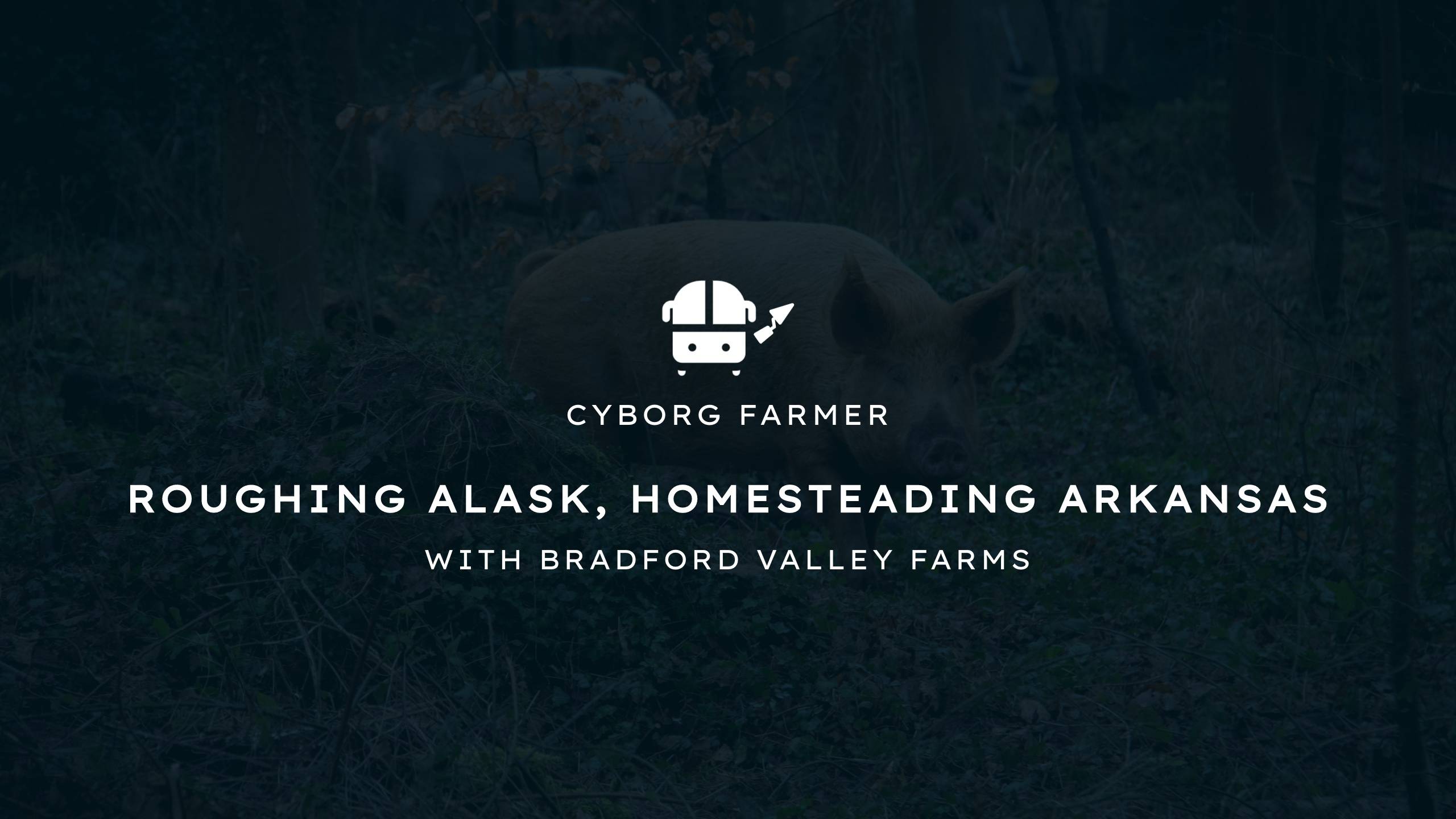 Roughing Alaska, Homesteading Arkansas