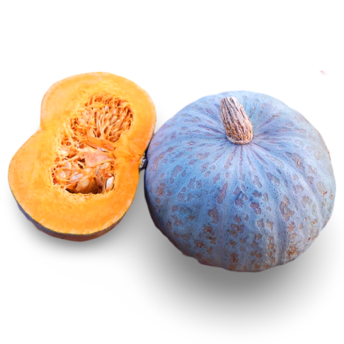 Baby Blue Hubbard Squash, Each