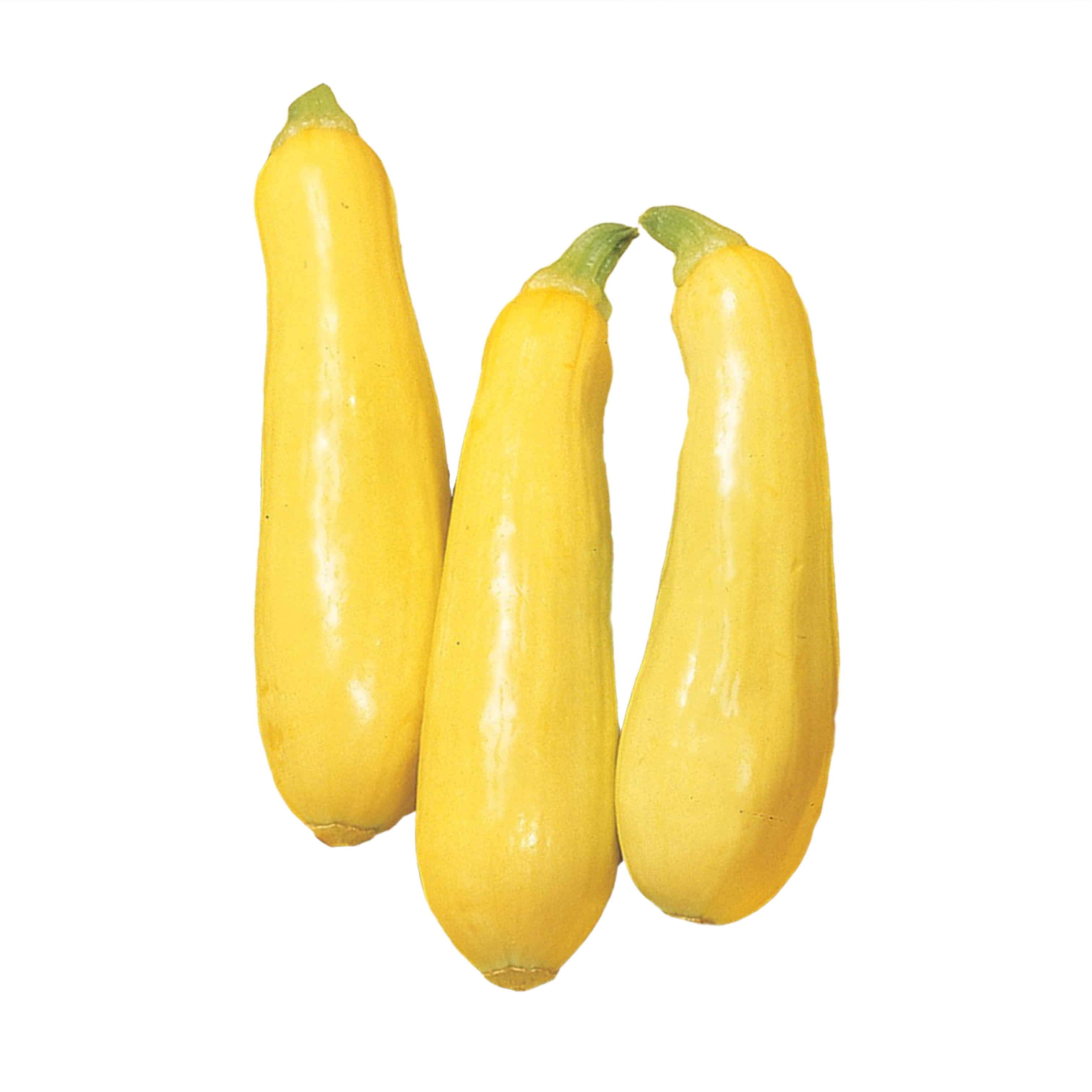 Crookneck Squash, 1lb